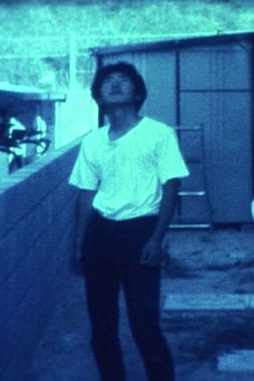 Level 7 + α (1978) poster