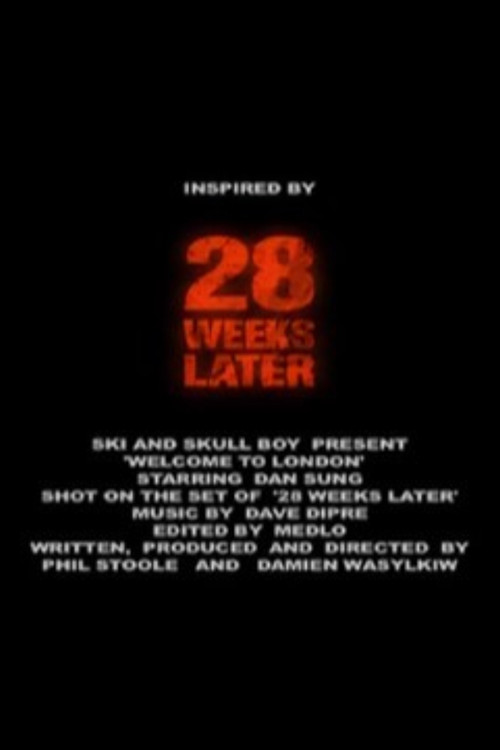 28 Weeks Later: Welcome to London (2007) poster