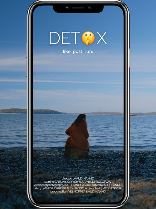 Detox (2024) poster