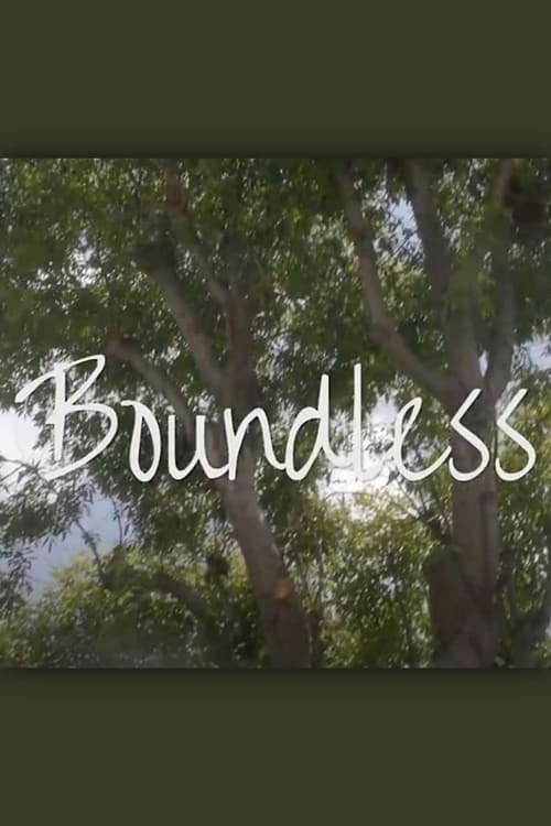 Boundless (2019) poster