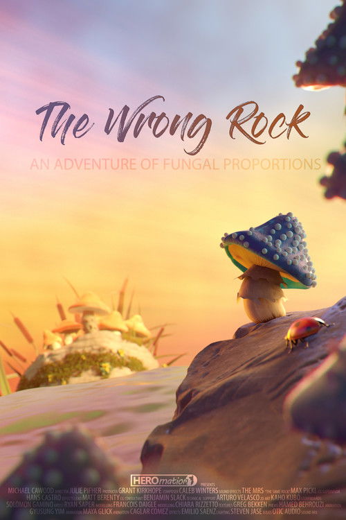 The Wrong Rock (2018) poster