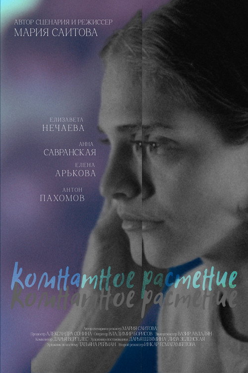 Комнатное растение (2026) poster