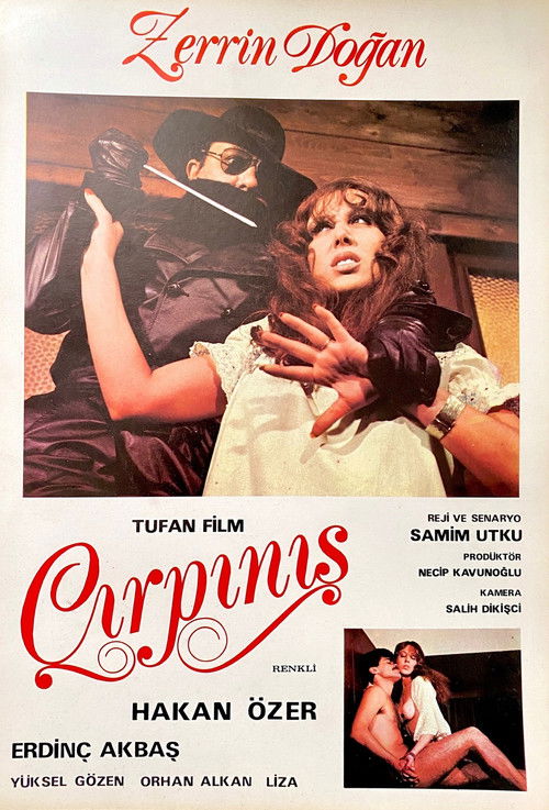 Çırpınış (1980) poster