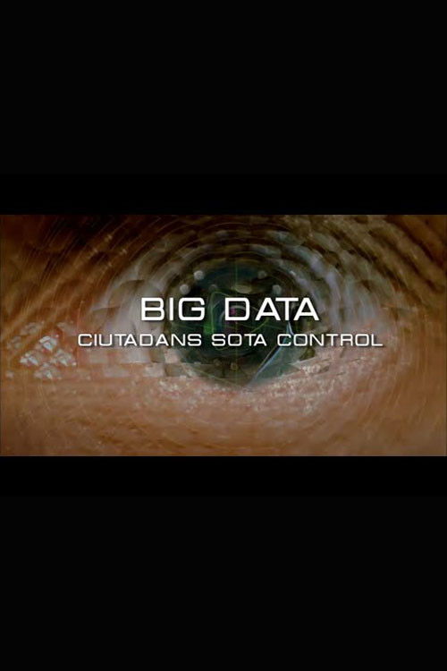 Big Data. Ciudadanos bajo control (2015) poster