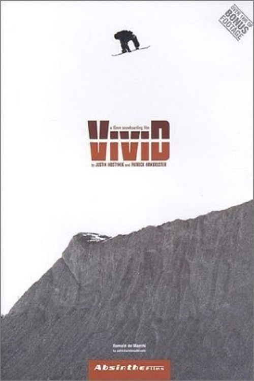 Vivid snowboarding (2002) poster