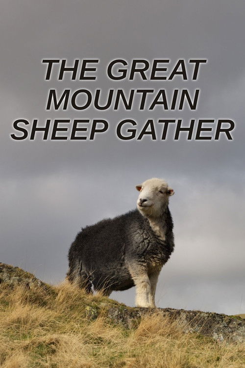 The Great Mountain Sheep Gather (2020) poster