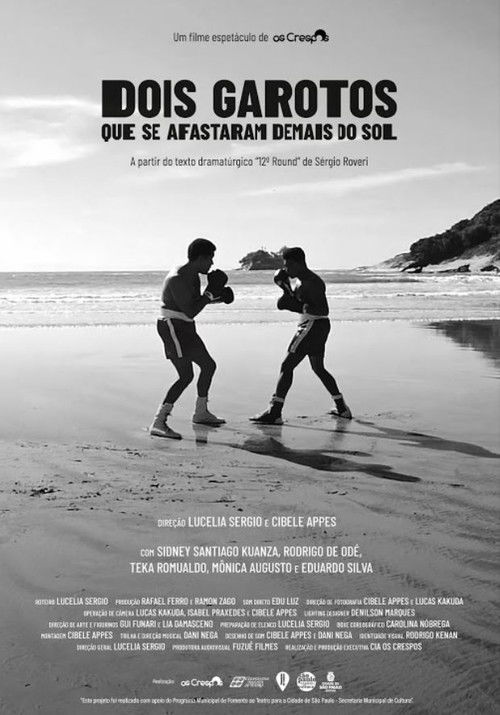 Dois Garotos Que Se Afastaram Demais do Sol (2021) poster