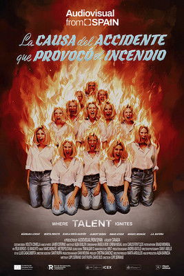 La causa del accidente que provocó el incendio (2024) poster