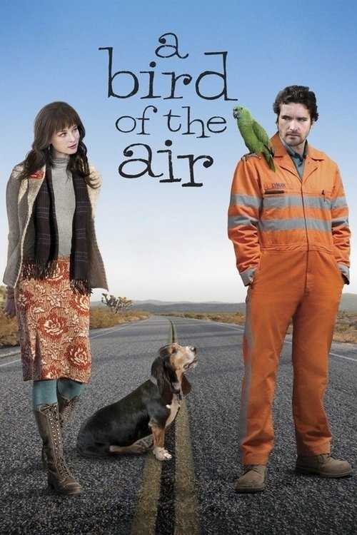 A Bird of the Air (2011) poster