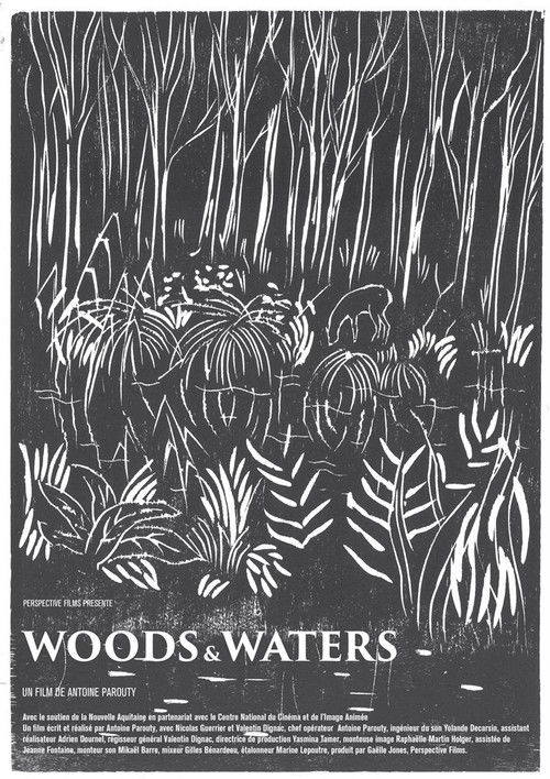 Woods and Waters (2020) poster