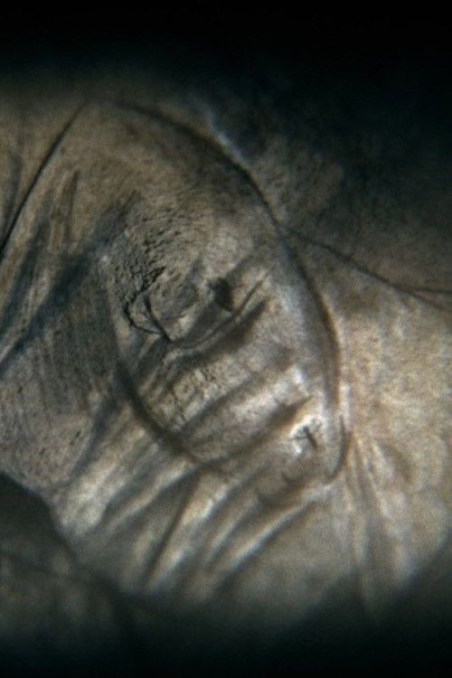 Camera obscura (2015) poster