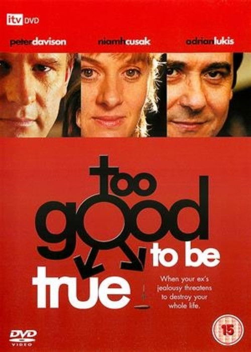 Too Good to Be True (2003) poster