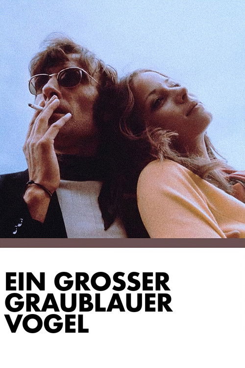 Ein großer graublauer Vogel (1971) poster