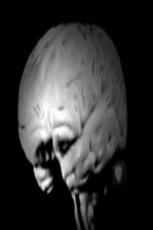 Anticipation (2012) poster