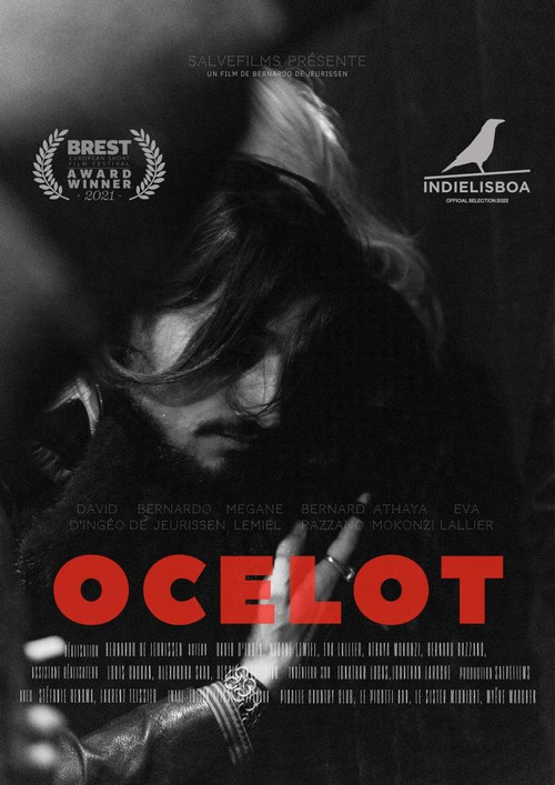 Ocelot (2022) poster