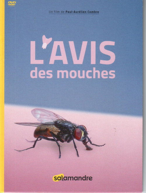 L'Avis Des Mouches (2017) poster