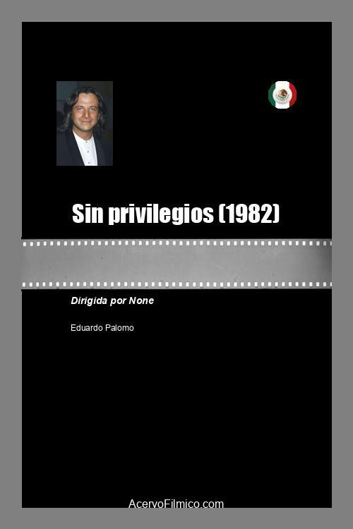 Sin privilegios (1982) poster