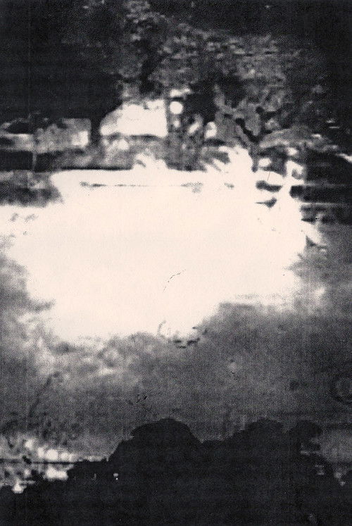 Coppicing (2009) poster