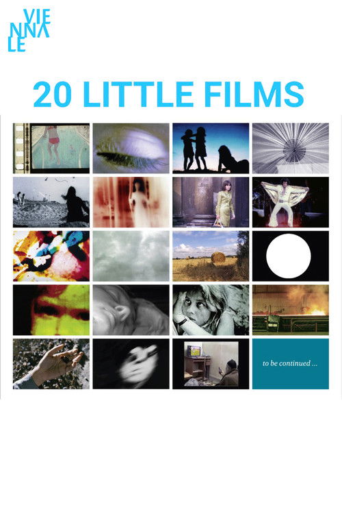 20 Little Films (2012) poster