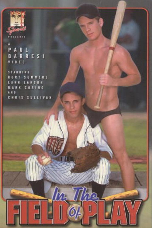 In the Field of Play (2001) poster