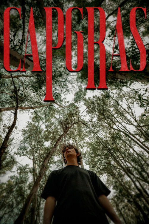 Capgras (2025) poster
