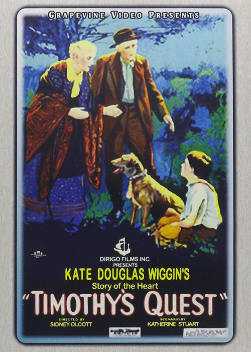 Timothy's Quest (1922) poster