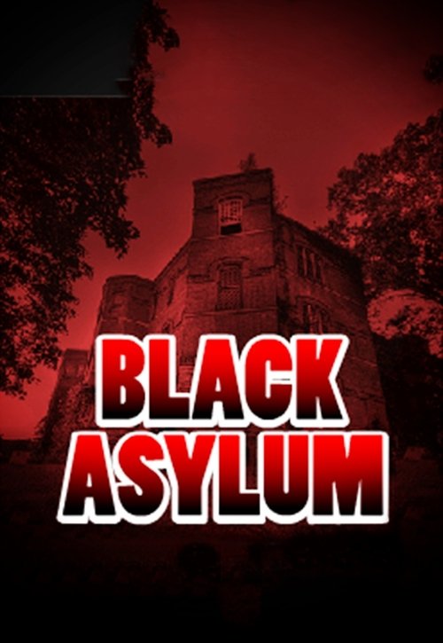Black Asylum (2013) poster