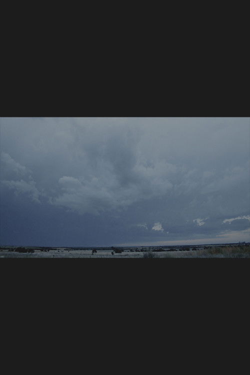 Campo de luz (2012) poster