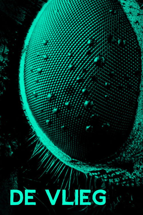 De Vlieg (1985) poster