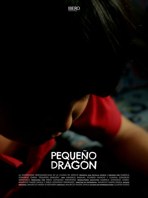 A Dragon's Flight poster