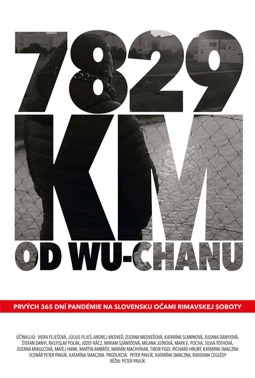 7829 km od Wu-chanu (2021) poster