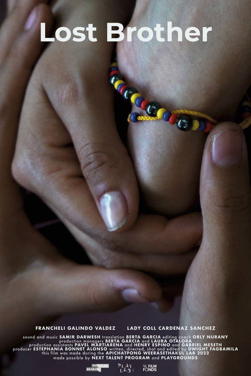 Lost Brother (2023) poster