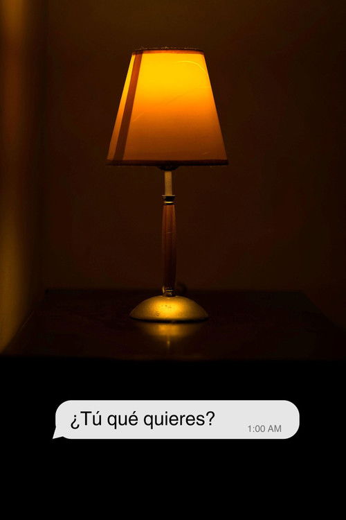 ¿Tú qué quieres? (2024) poster