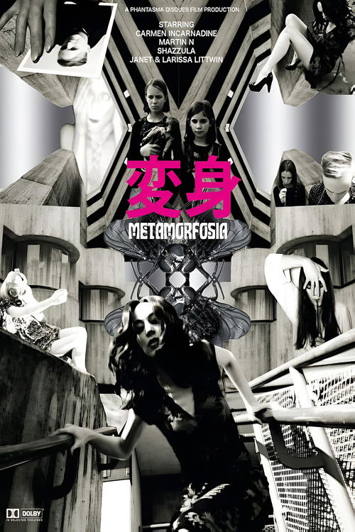 Metamorfosia (2014) poster