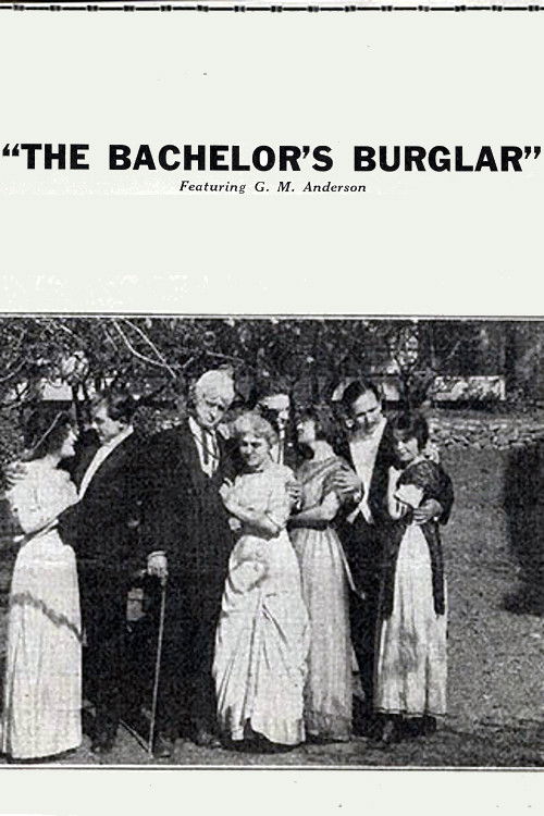 The Bachelor's Burglar (1915) poster