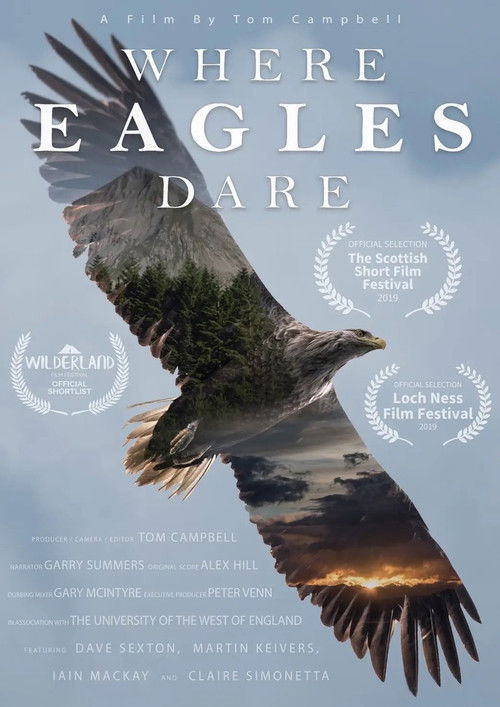 Where Eagles Dare (2017) poster