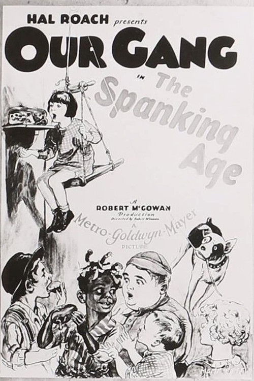 The Spanking Age (1928) poster