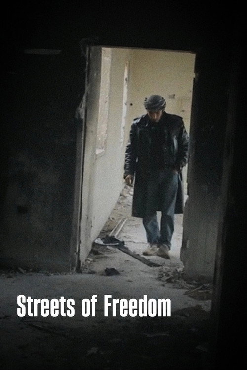 Streets of Freedom (2012) poster