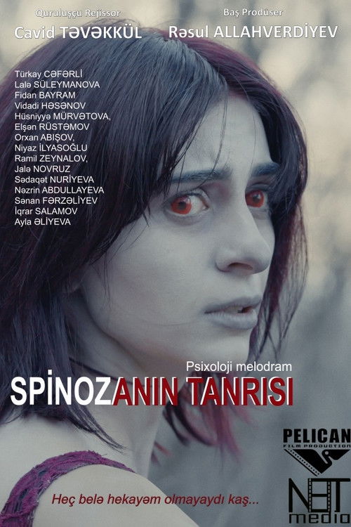 Spinozanın Tanrısı (2025) poster