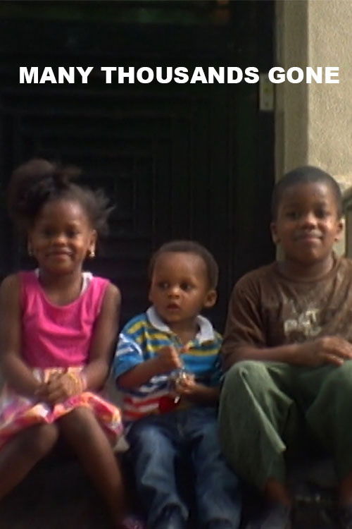 Many Thousands Gone (2015) poster