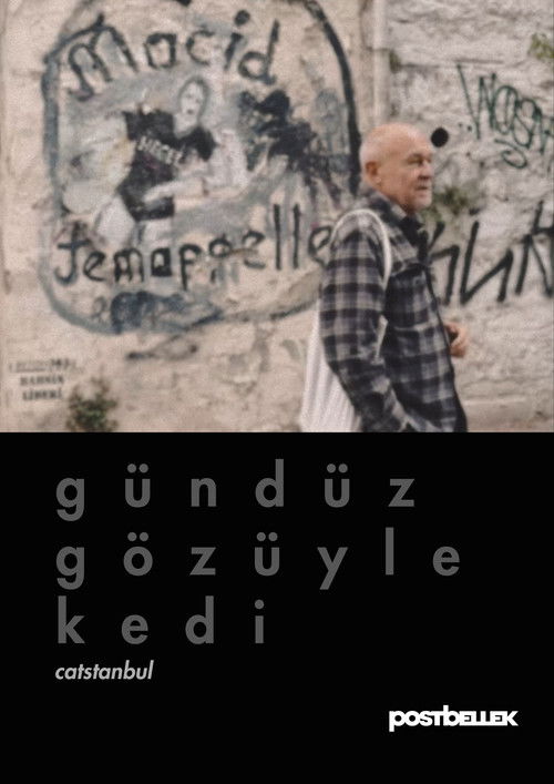 Gündüz Gözüyle Kedi (2025) poster