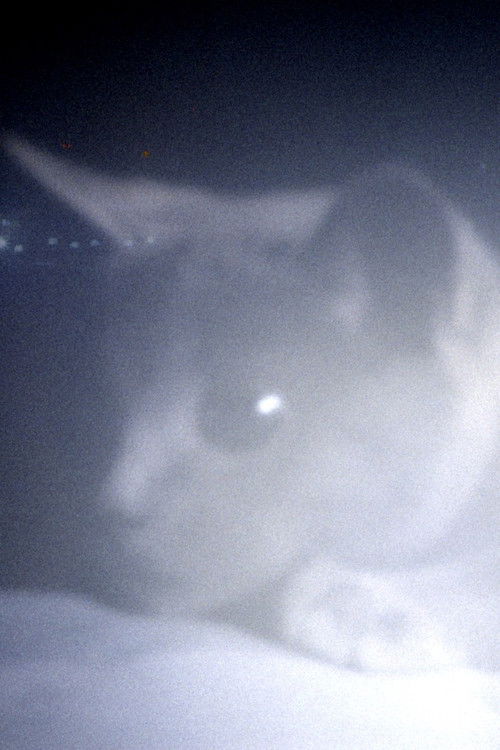 Somos animales (2023) poster