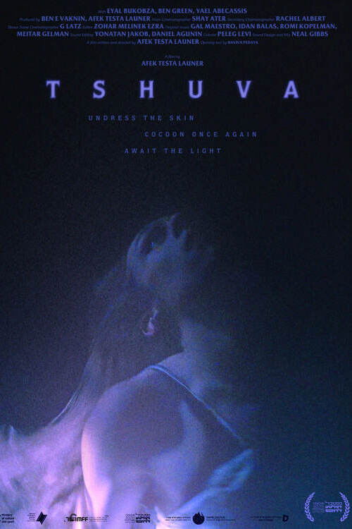 Tshuva (2024) poster
