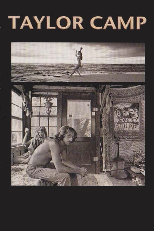 Taylor Camp (2010) poster