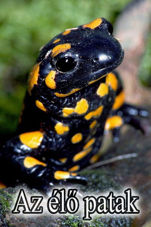 One in a Thousand (2019) poster