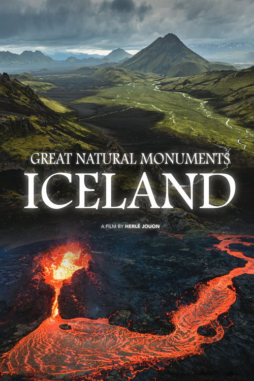 Islande, la quête des origines (2023) poster
