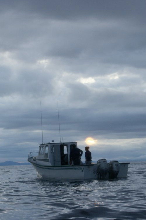 Some Saturdays (2018) poster