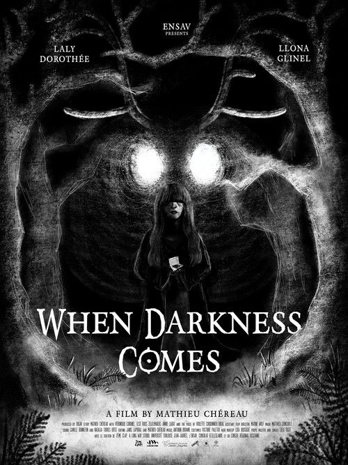 When Darkness Comes (2025) poster