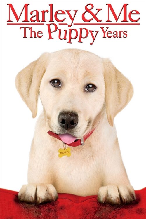 Marley & Me: The Puppy Years (2011) poster