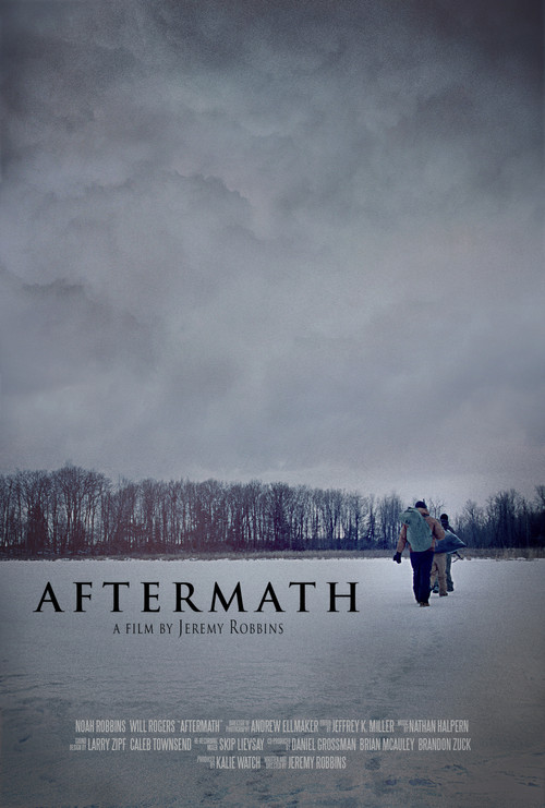 Aftermath (2013) poster